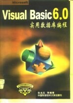 Visual Basic 6.0实用数据库编程