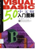 Visual Basic 5.0中文版入门图解