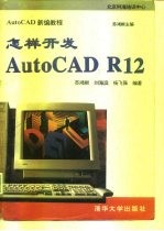 怎样开发AutoCAD R12