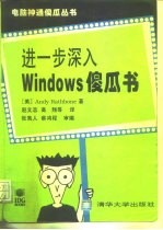 进一步深入Windows 傻瓜书