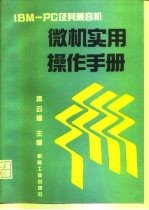 微机实用操作手册