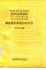 IBM PS&PC/2微型计算机系列PC-DOS2.00/2.10/3.00/3.10/3.20/3.30磁盘操作系统DOS大全