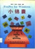 FoxPro for Windows小锦囊