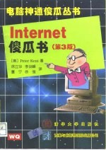 Internet傻瓜书 第3版