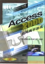 Access 2000应用高手速成