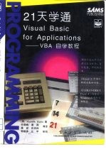 21天学通Visual Basic for Applications VBA自学教程