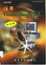 GOTOP 活用Visual Basic 5.0 中文版