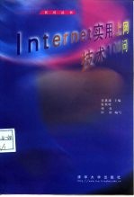 Internet实用上网技术100问