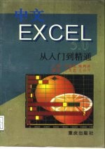 MS中文版EXCEL5.0从入门到精通