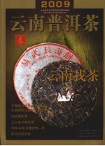 2009云南普洱茶  春