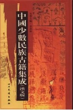 中国少数民族古籍集成 汉文版 第11册 总类