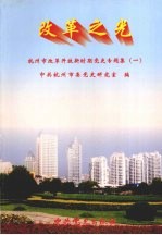 改革之光  杭州市改革开放新时期党史专题集  1