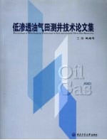 低渗透油气田测井技术论文集