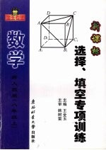 金玉考王 数学 选择、填空专项训练 八年级 上 新人教版