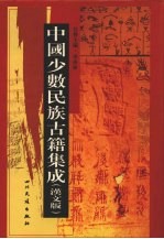 中国少数民族古籍集成 汉文版 第5册 总类