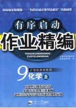 有序启动作业精编  九年级化学  上  沪教版