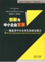 创新与中小企业发展：湖北省中小企业发展研究报告 2005-2006