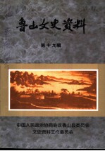 鲁山文史资料 第19辑