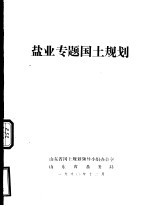 盐业专题国土规划