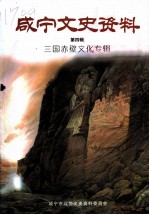 咸宁文史资料 第3辑 三国赤壁文化专辑