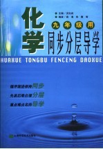 化学同步分层导学 九年级用 修订版