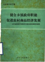 健全乡镇政府职能促进农村商品经济发展：山东省莱芜市加强农村基层政权建设的经验