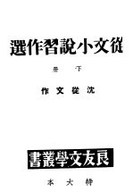 从文小说习作选 下