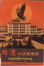 雄鹰从这里展翅 北京西藏中学素质教育成果纪实