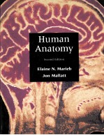 HUMAN ANATOMY SECOND EDITION