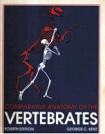 COMPARATIVE ANATOMY OF THE VERTEBRATES FOURTH EDITION