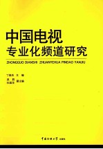 中国电视专业化频道研究