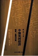 中国农村经济 制度、发展与分配