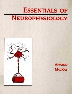 ESSENTIALS OF NEUROPHYSIOLOGY