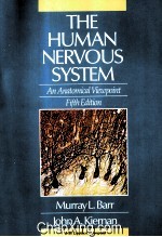 THE HUMAN NERVOUS SYSTEM AN ANATOMICAL VIEWPOINT FIFTH EDITION