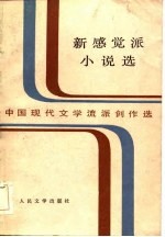 中国现代文学流派创作选  新感觉派小说选