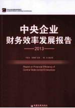 中央企业财务效率发展报告 2013