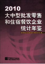 大中型批发零售和住宿餐饮企业统计年鉴 2010