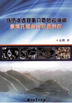 特低渗透双重介质砂岩油藏微观孔隙结构定量表征