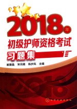 2018年初级护师资格考试习题集