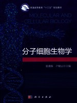 分子细胞生物学