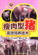 瘦肉型猪高效饲养技术