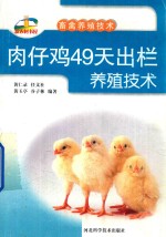 肉仔鸡49天出栏养殖技术