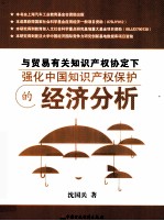 与贸易有关知识产权协定下强化中国知识产权保护的经济分析