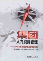 大集团人力资源管理  中央企业管理提升实践