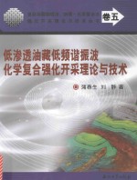 复杂油藏物理法、物理-化学复合法强化开采理论与技术丛书  低渗透油藏低频谐振波化学复合强化开采理论与技术