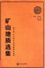 矿山地质选集  第4卷  矿山地质与地球物理新进展