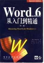 Word 6 for Windows从入门到精通 第2版