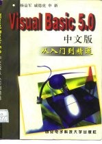 Visual Basic 5.0中文版从入门到精通