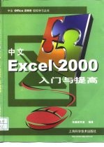 中文Excel 2000入门与提高