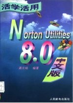 活学活用Norton Utilities8.0中文版